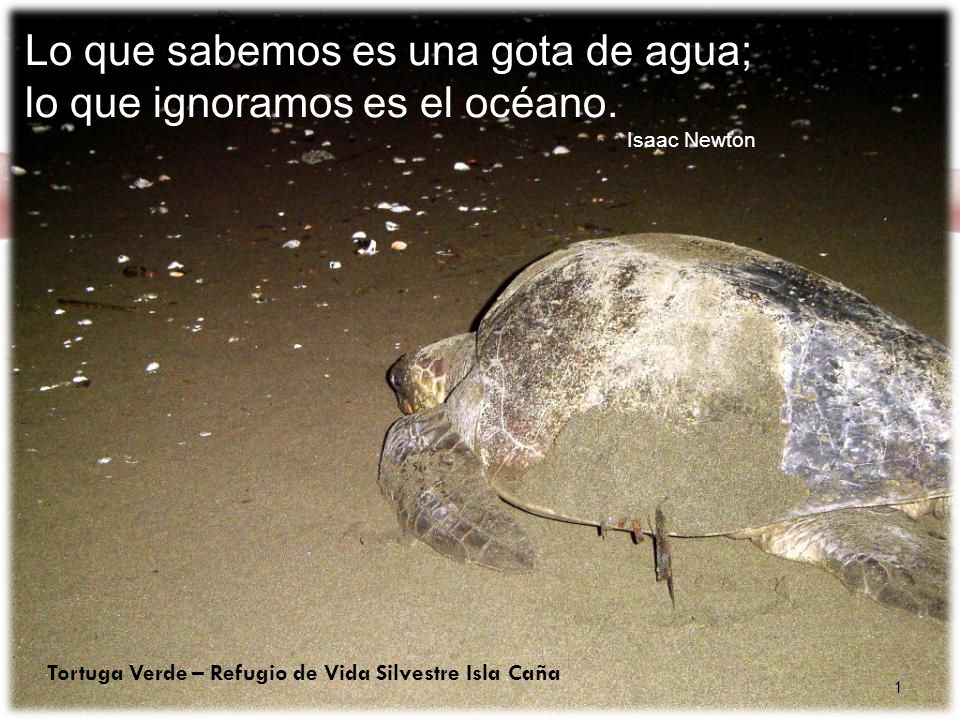 Lo que sabemos es una gota de agua; lo que ignoramos es el océano.