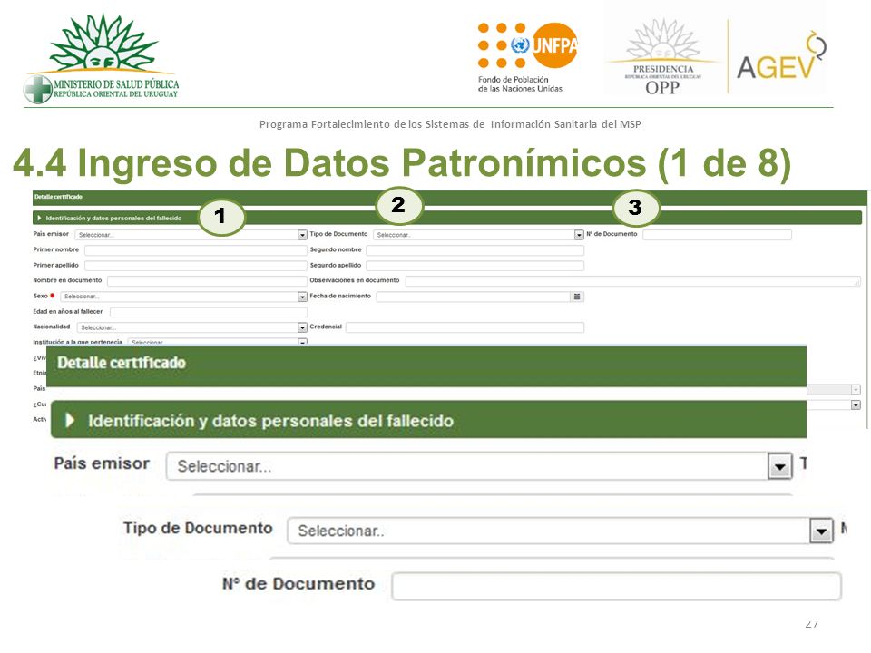 4.4 Ingreso de Datos Patronímicos (1 de 8)