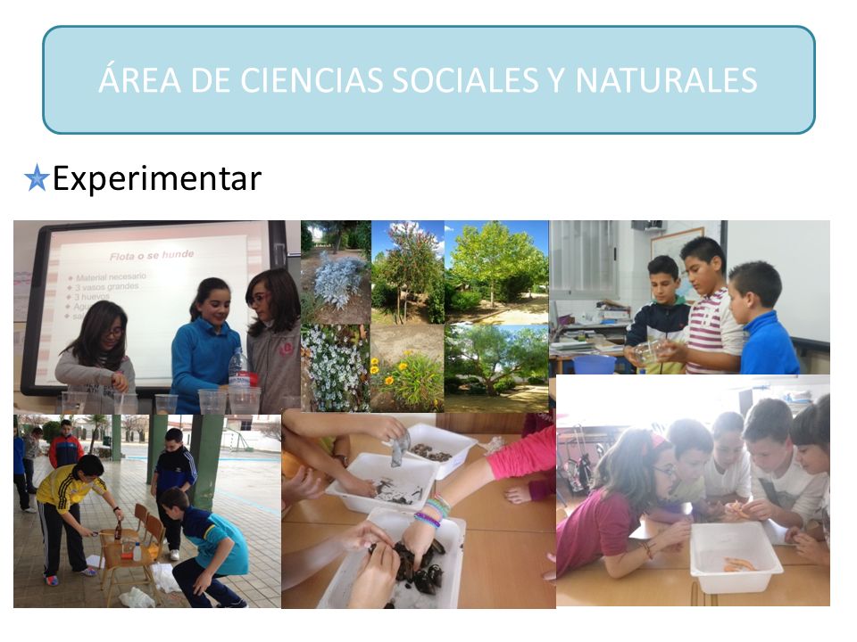 ÁREA DE CIENCIAS SOCIALES Y NATURALES