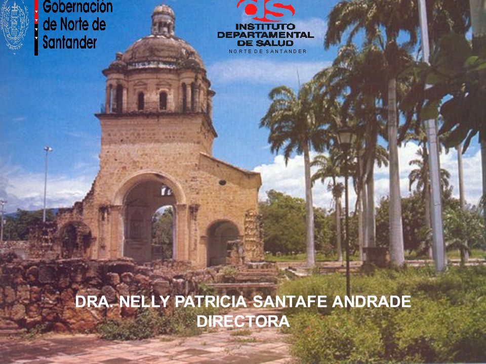DRA. NELLY PATRICIA SANTAFE ANDRADE