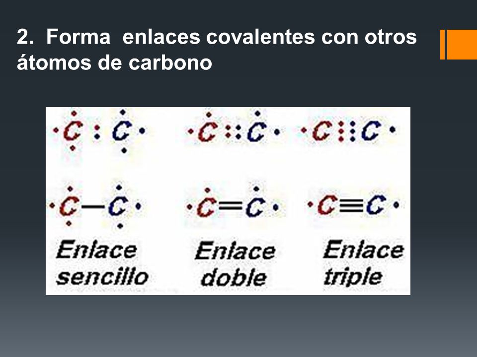 2. Forma enlaces covalentes con otros átomos de carbono