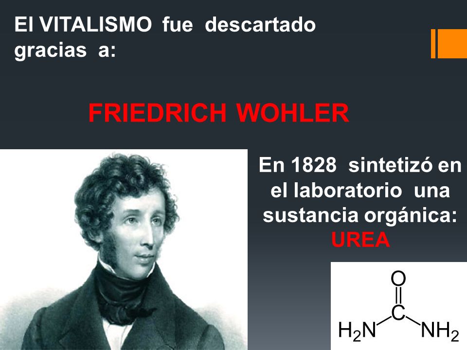 En 1828 sintetizó en el laboratorio una sustancia orgánica: UREA