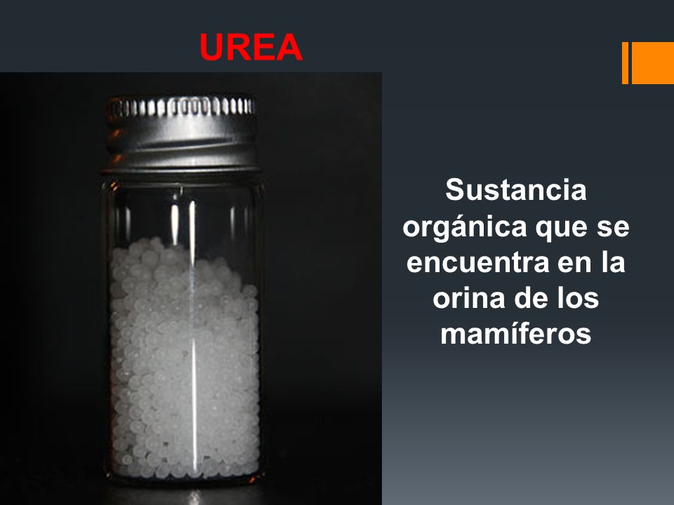 Sustancia orgánica que se encuentra en la orina de los mamíferos