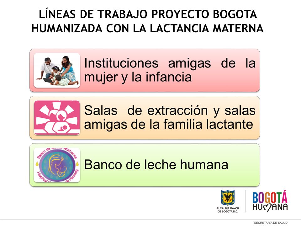 LÍNEAS DE TRABAJO PROYECTO BOGOTA HUMANIZADA CON LA LACTANCIA MATERNA