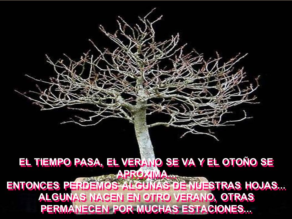 EL TIEMPO PASA, EL VERANO SE VA Y EL OTOÑO SE APROXIMA