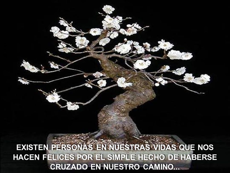 EXISTEN PERSONAS EN NUESTRAS VIDAS QUE NOS HACEN FELICES POR EL SIMPLE HECHO DE HABERSE CRUZADO EN NUESTRO CAMINO...