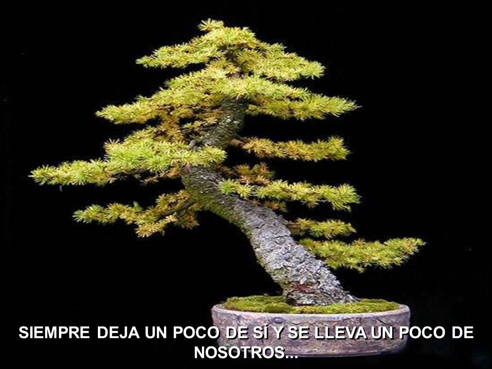 SIEMPRE DEJA UN POCO DE SÍ Y SE LLEVA UN POCO DE NOSOTROS...