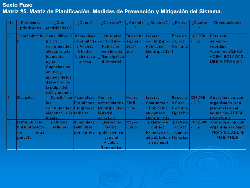 Sexto Paso Matriz #5. Matriz de Planificación. Medidas de Prevención y Mitigación del Sistema.
