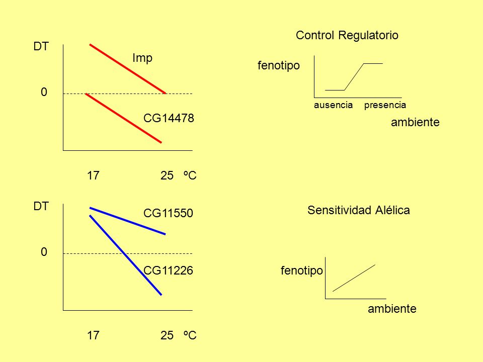 Control Regulatorio DT Imp fenotipo CG14478 ambiente ºC DT