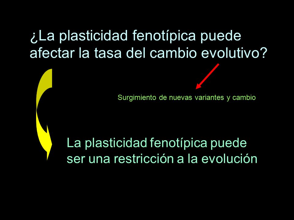 ¿La plasticidad fenotípica puede afectar la tasa del cambio evolutivo