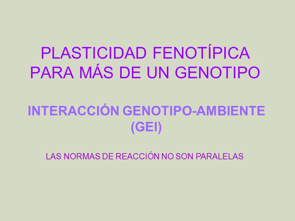 PLASTICIDAD FENOTÍPICA PARA MÁS DE UN GENOTIPO