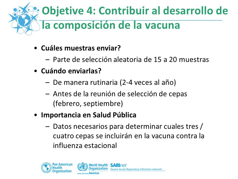 Objetive 4: Contribuir al desarrollo de la composición de la vacuna