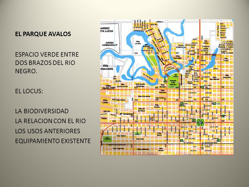 EL PARQUE AVALOS ESPACIO VERDE ENTRE DOS BRAZOS DEL RIO NEGRO. EL LOCUS: LA BIODIVERSIDAD. LA RELACION CON EL RIO.