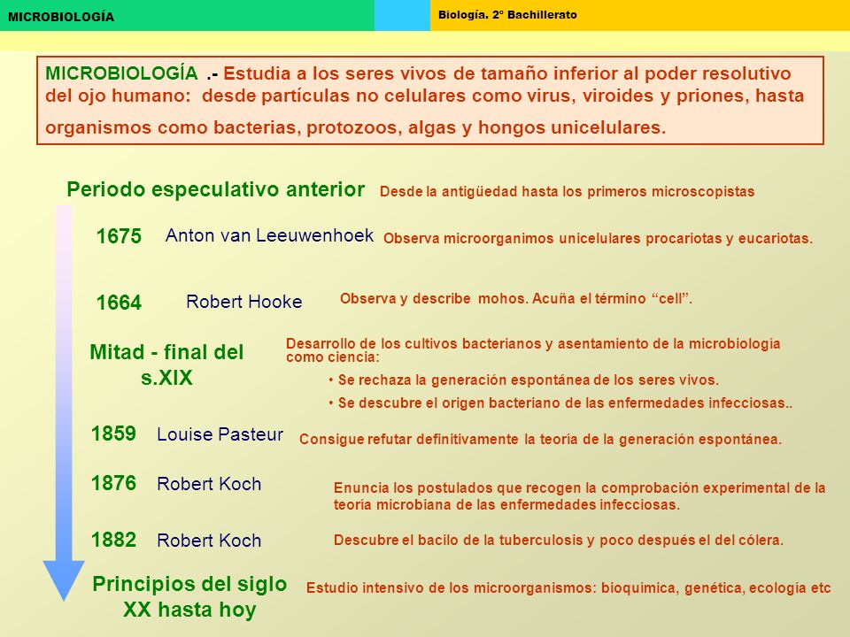 Periodo especulativo anterior Principios del siglo XX hasta hoy