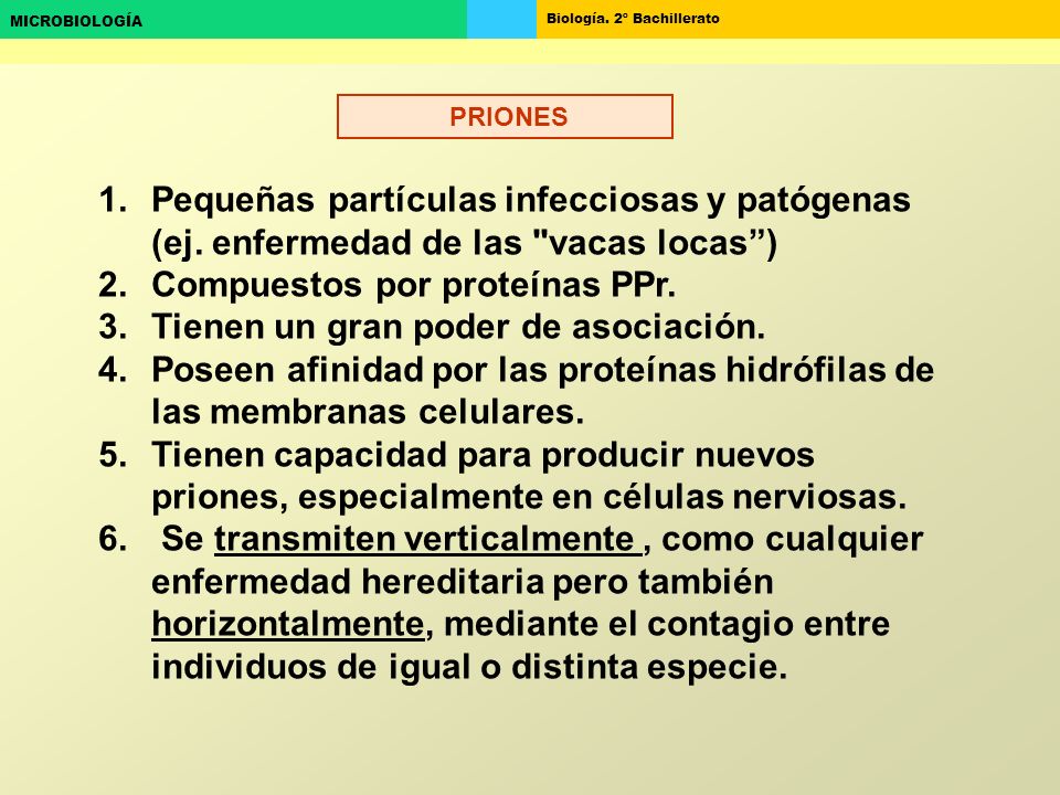 Compuestos por proteínas PPr. Tienen un gran poder de asociación.