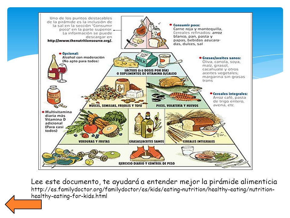 Lee este documento, te ayudará a entender mejor la pirámide alimenticia