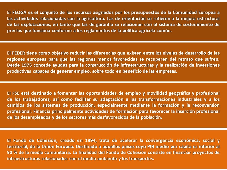 El FEOGA es el conjunto de los recursos asignados por los presupuestos de la Comunidad Europea a las actividades relacionadas con la agricultura. Las de orientación se refieren a la mejora estructural de las explotaciones, en tanto que las de garantía se relacionan con el sistema de sostenimiento de precios que funciona conforme a los reglamentos de la política agrícola común.