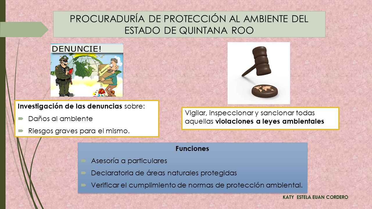 PROCURADURÍA DE PROTECCIÓN AL AMBIENTE DEL ESTADO DE QUINTANA ROO