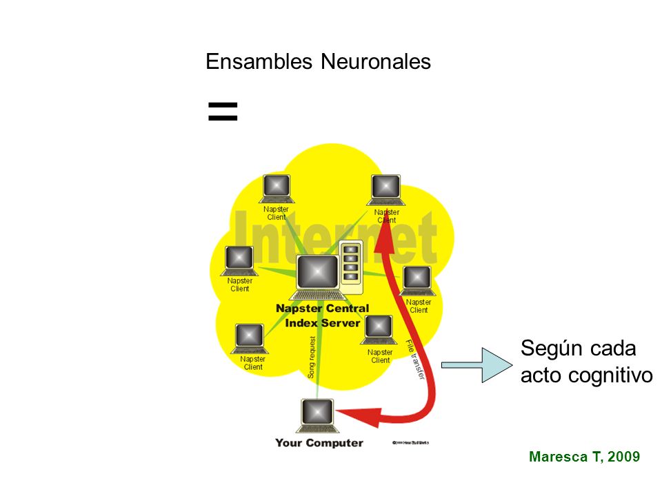 Ensambles Neuronales = Según cada acto cognitivo Maresca T, 2009