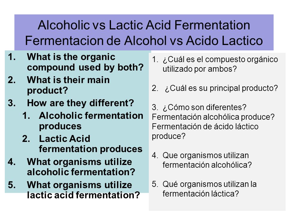 Alcoholic vs Lactic Acid Fermentation Fermentacion de Alcohol vs Acido Lactico