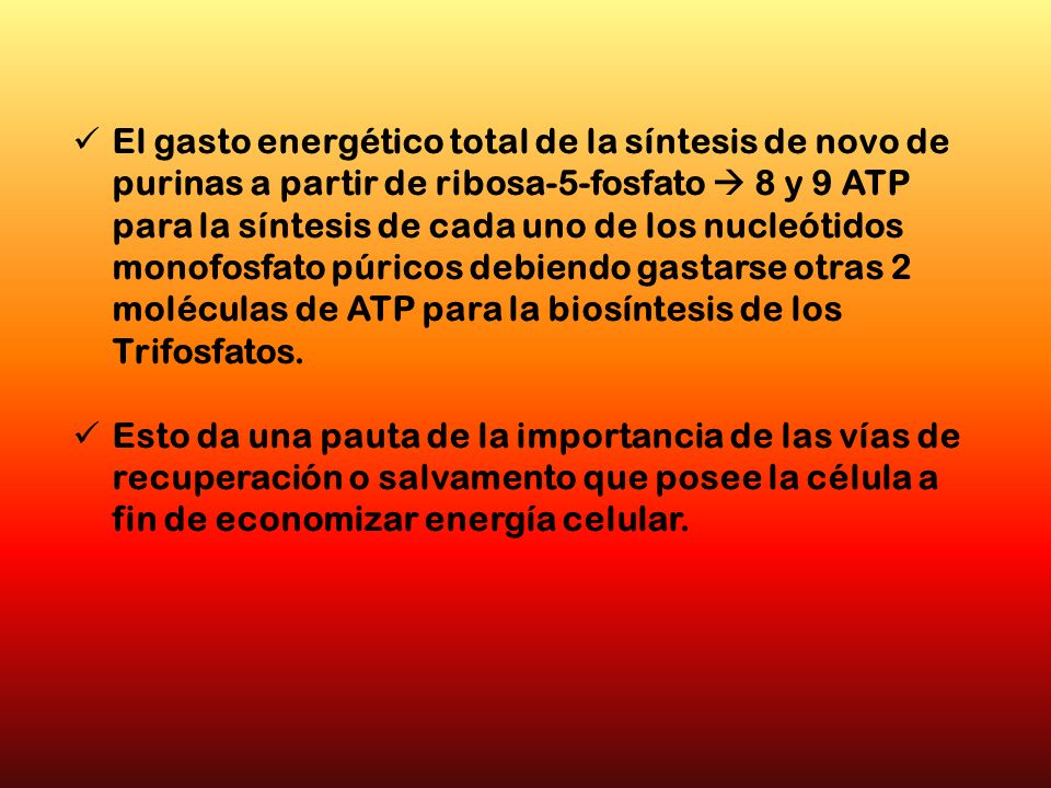 El gasto energético total de la síntesis de novo de purinas a partir de ribosa-5-fosfato  8 y 9 ATP para la síntesis de cada uno de los nucleótidos monofosfato púricos debiendo gastarse otras 2 moléculas de ATP para la biosíntesis de los Trifosfatos.