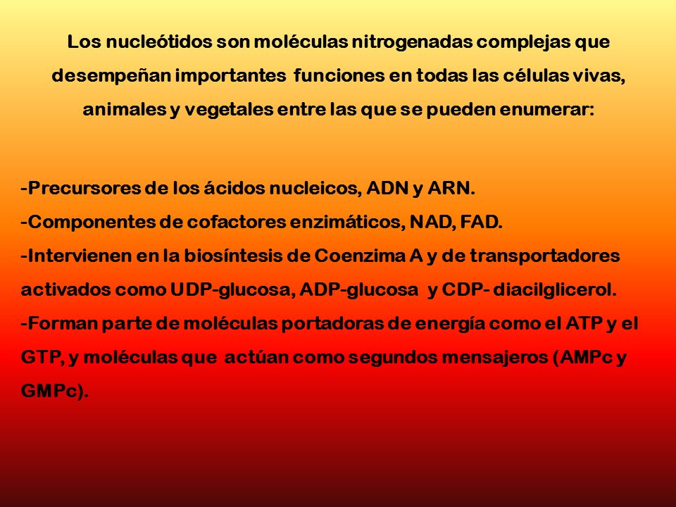 Los nucleótidos son moléculas nitrogenadas complejas que desempeñan importantes funciones en todas las células vivas, animales y vegetales entre las que se pueden enumerar: