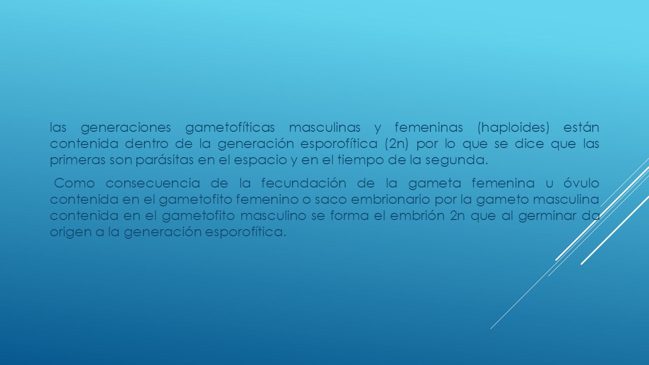 las generaciones gametofíticas masculinas y femeninas (haploides) están contenida dentro de la generación esporofítica (2n) por lo que se dice que las primeras son parásitas en el espacio y en el tiempo de la segunda.