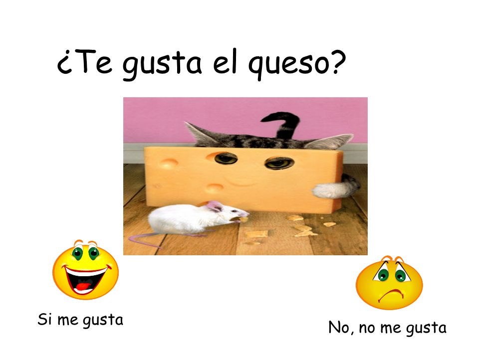 ¿Te gusta el queso Si me gusta No, no me gusta