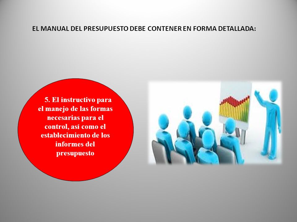 EL MANUAL DEL PRESUPUESTO DEBE CONTENER EN FORMA DETALLADA: