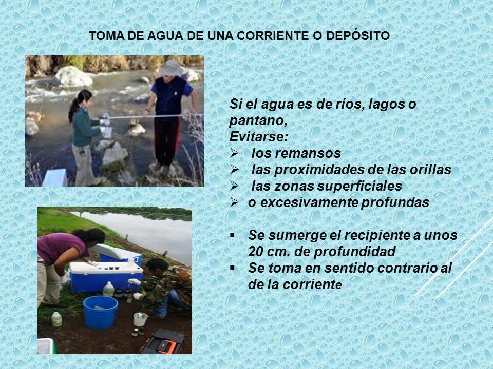Si el agua es de ríos, lagos o pantano, Evitarse: los remansos