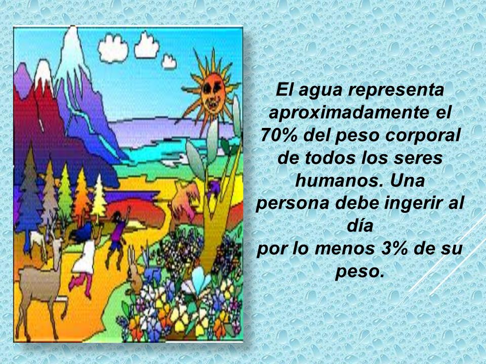 El agua representa aproximadamente el 70% del peso corporal de todos los seres humanos. Una persona debe ingerir al día