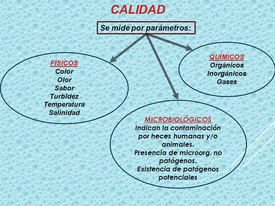 CALIDAD Se mide por parámetros: QUÍMICOS Orgánicos Inorgánicos Gases