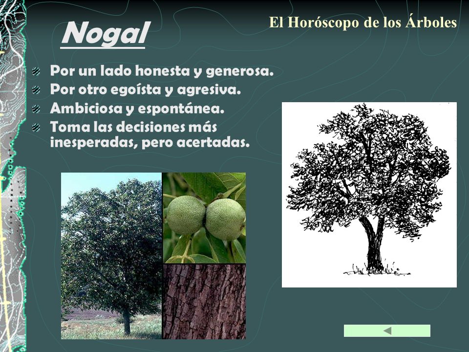 Nogal El Horóscopo de los Árboles Por un lado honesta y generosa.