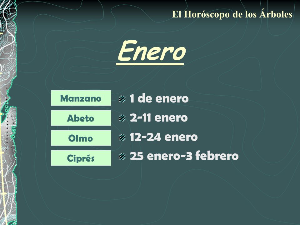 Enero 1 de enero 2-11 enero enero 25 enero-3 febrero