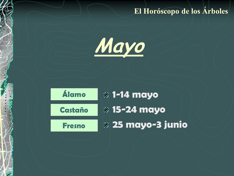 Mayo 1-14 mayo mayo 25 mayo-3 junio El Horóscopo de los Árboles