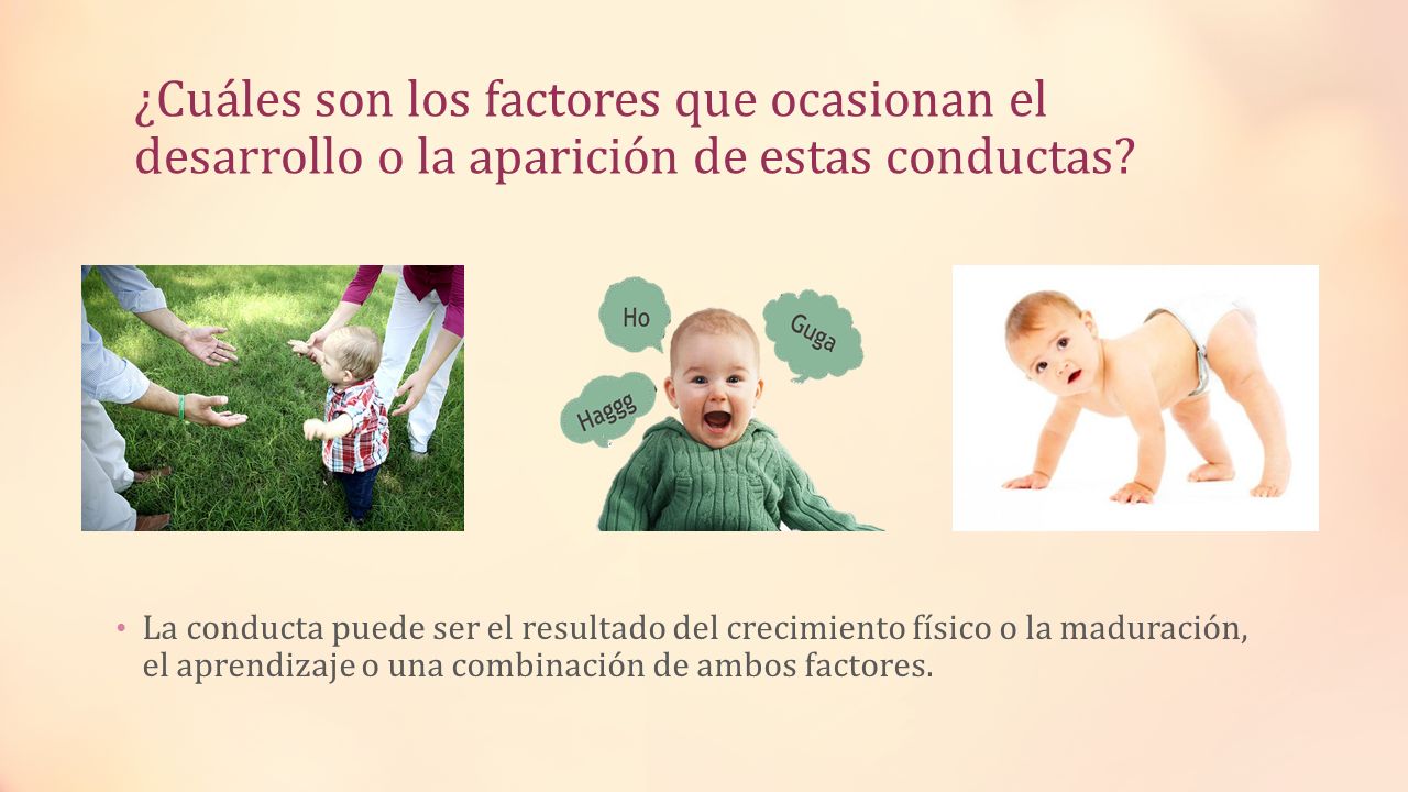 ¿Cuáles son los factores que ocasionan el desarrollo o la aparición de estas conductas