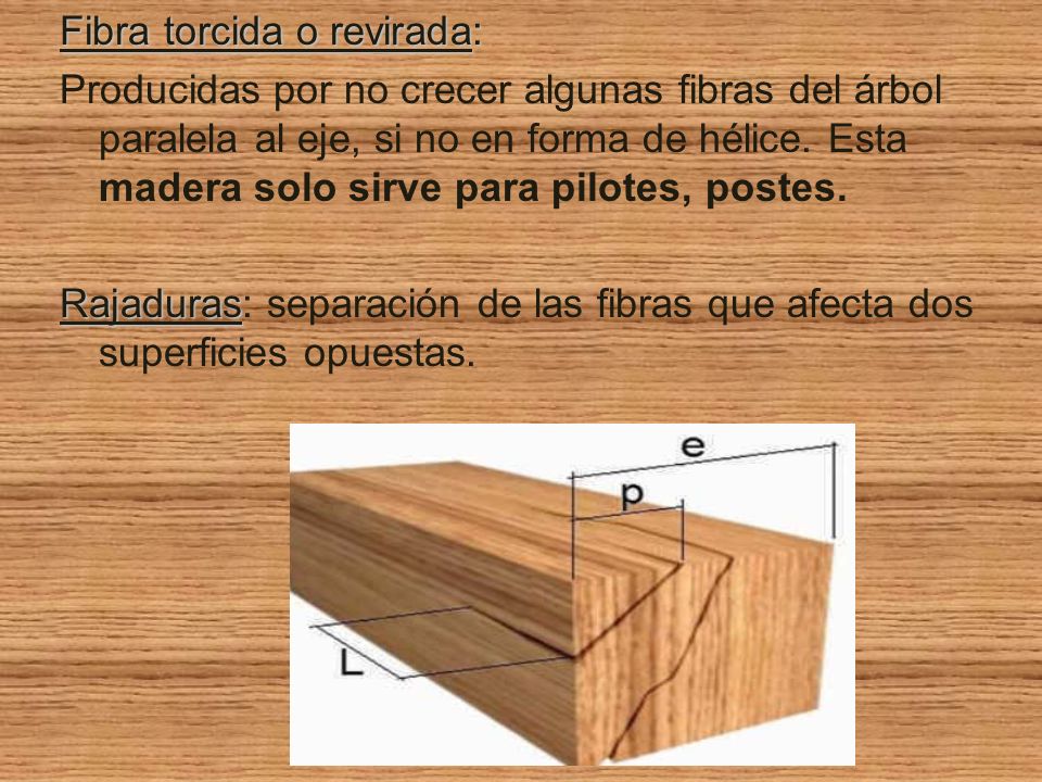Fibra torcida o revirada: Producidas por no crecer algunas fibras del árbol paralela al eje, si no en forma de hélice.