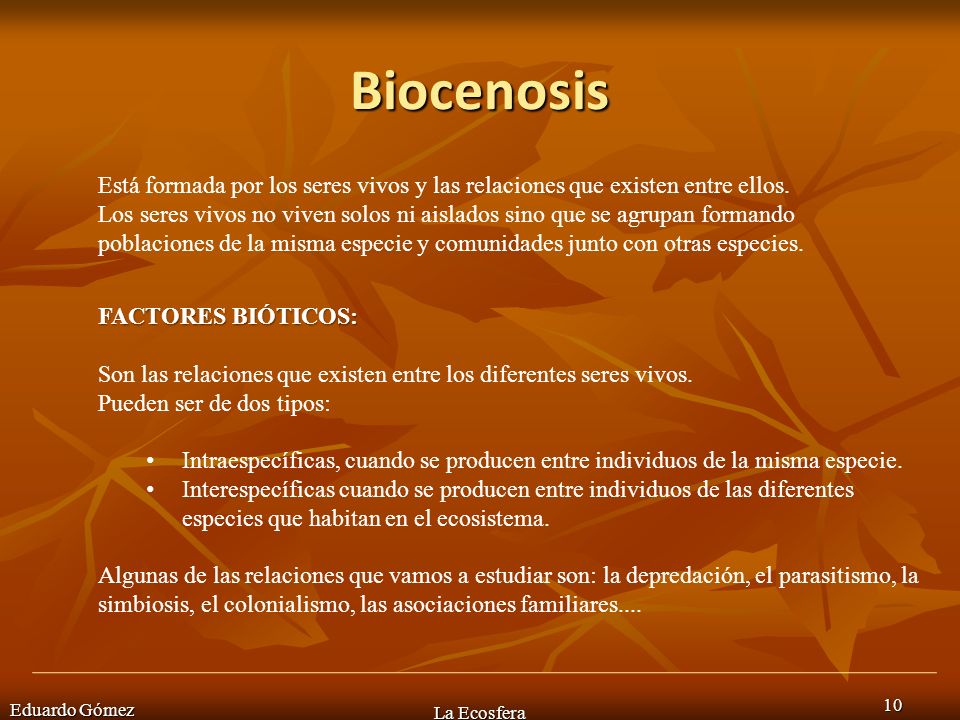 Biocenosis Está formada por los seres vivos y las relaciones que existen entre ellos.