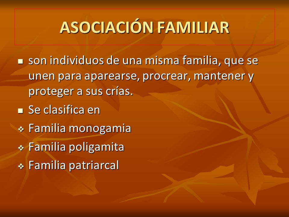 ASOCIACIÓN FAMILIAR son individuos de una misma familia, que se unen para aparearse, procrear, mantener y proteger a sus crías.