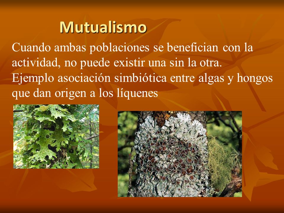 Mutualismo Cuando ambas poblaciones se benefician con la actividad, no puede existir una sin la otra.