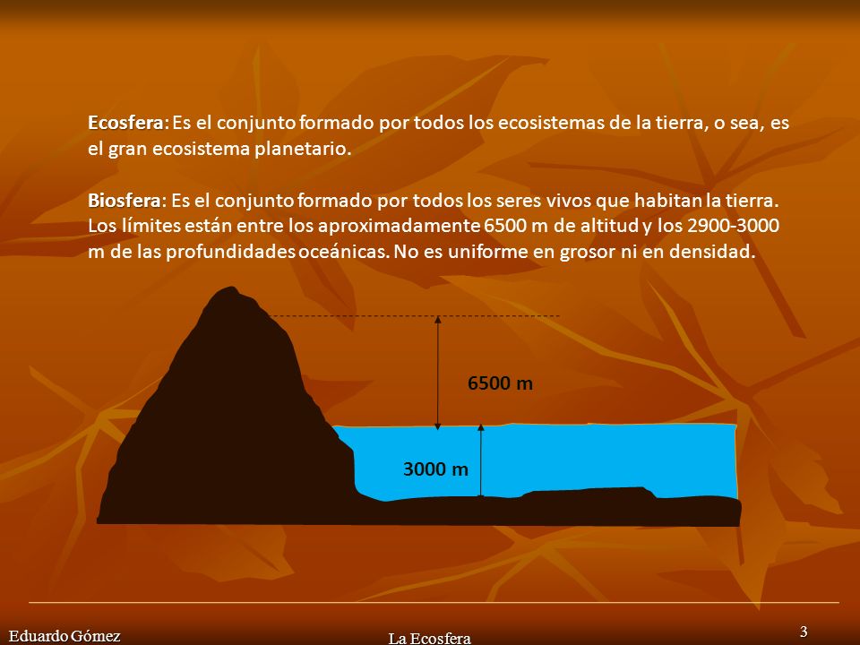 Ecosfera: Es el conjunto formado por todos los ecosistemas de la tierra, o sea, es el gran ecosistema planetario.