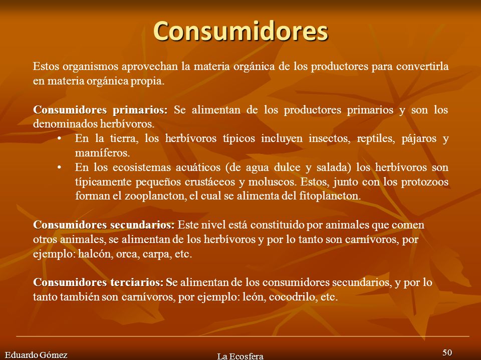 Consumidores Estos organismos aprovechan la materia orgánica de los productores para convertirla en materia orgánica propia.