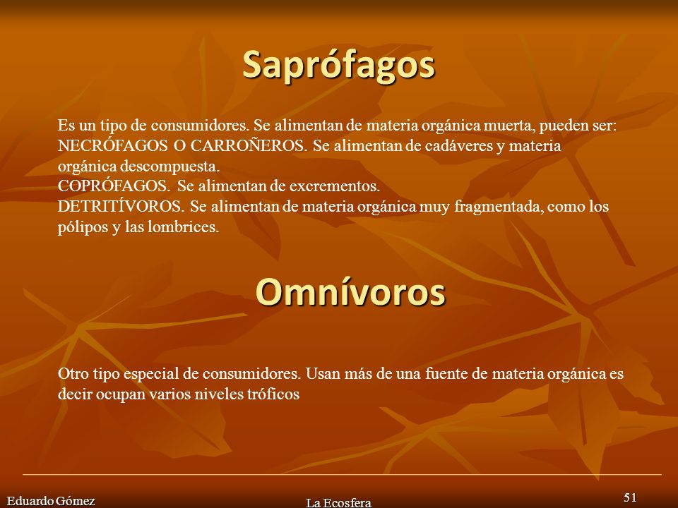 Saprófagos Es un tipo de consumidores. Se alimentan de materia orgánica muerta, pueden ser: