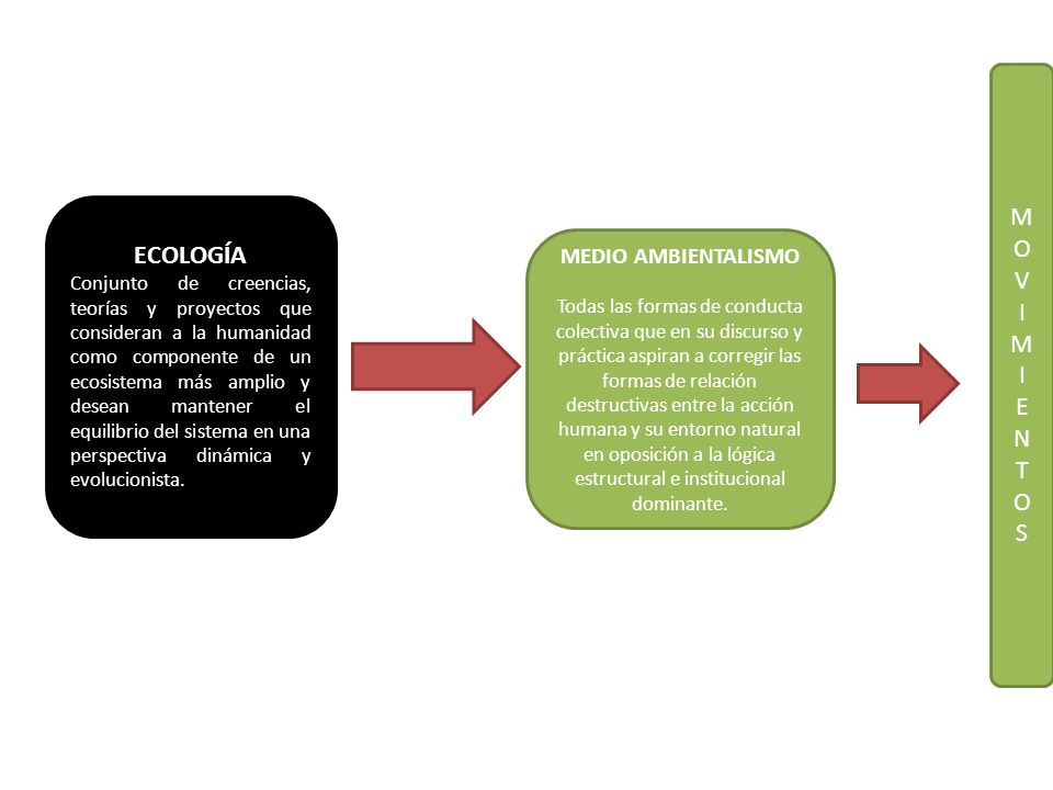 M O V I ECOLOGÍA E N T S MEDIO AMBIENTALISMO