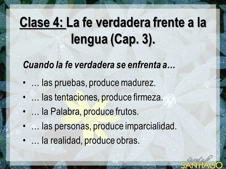 Clase 4: La fe verdadera frente a la lengua (Cap. 3).