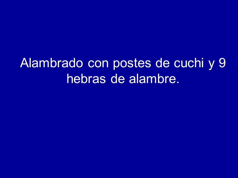 Alambrado con postes de cuchi y 9 hebras de alambre.
