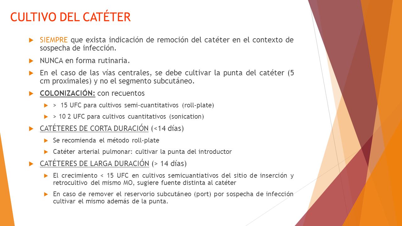 CULTIVO DEL CATÉTER SIEMPRE que exista indicación de remoción del catéter en el contexto de sospecha de infección.
