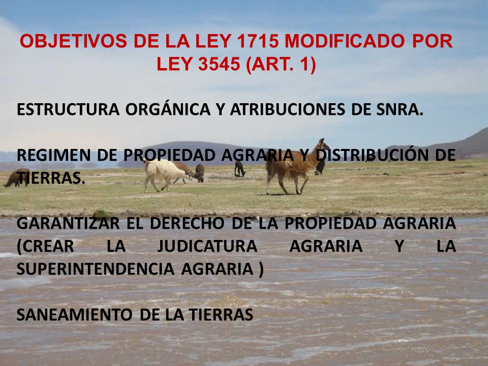 OBJETIVOS DE LA LEY 1715 MODIFICADO POR LEY 3545 (ART. 1)