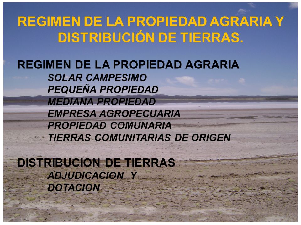REGIMEN DE LA PROPIEDAD AGRARIA Y DISTRIBUCIÓN DE TIERRAS.