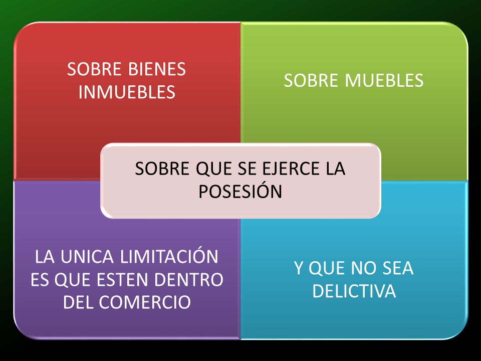SOBRE QUE SE EJERCE LA POSESIÓN SOBRE BIENES INMUEBLES SOBRE MUEBLES